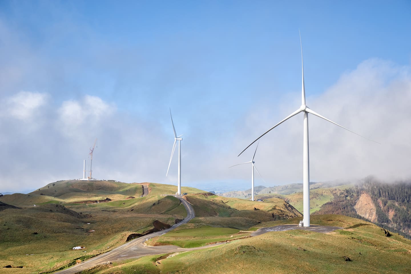 MBIE says wind farms will play a greater role in meeting New Zealand's future power needs. Photo / Supplied