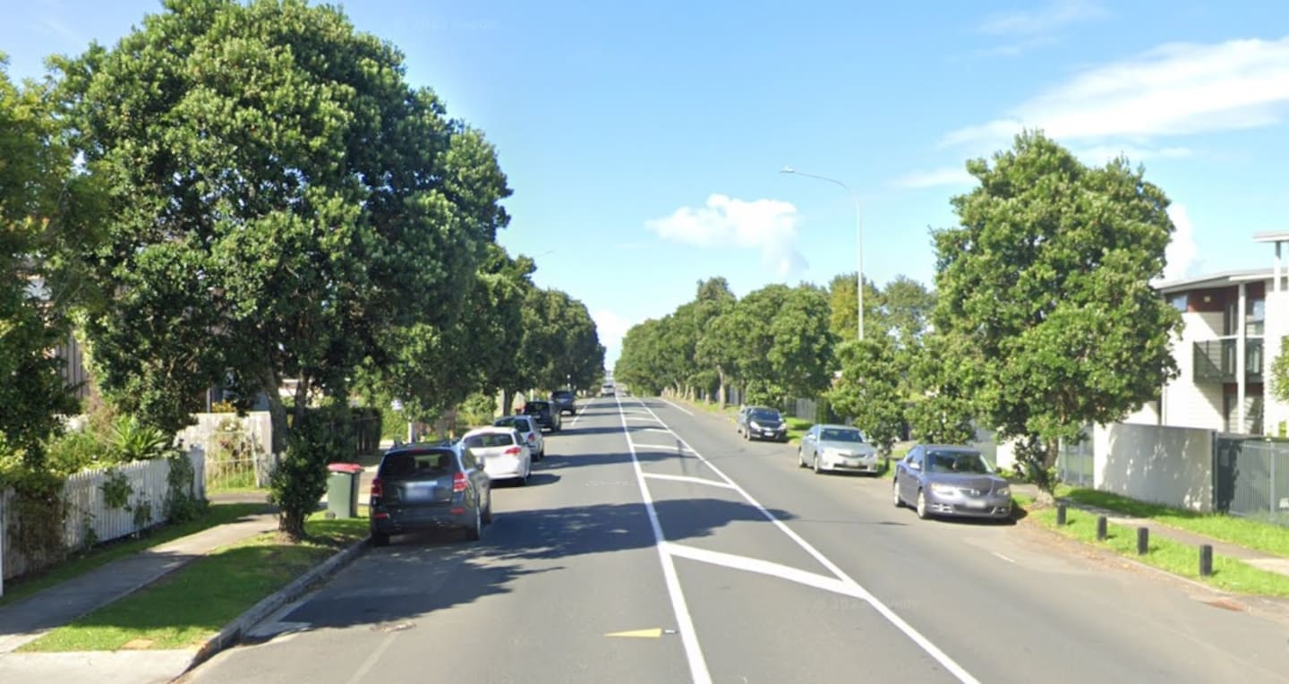 A man is on trial for "fright response" manslaugter in the High Court at Auckland after his partner jumped out of their moving car on McKenzie Rd in Mangare in October 2023. Photo / Google Maps