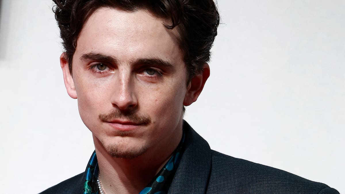 Timothee Chalamet: ‘Young Dylan was a contrarian. I was so obedient!’ Timothee Chalamet: ‘Young Dylan was a contrarian. I was so obedient!’