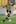Simon Elliott of the Phoenix dribbles the ball during the round 14 A-League match between the Wellington Phoenix and the Central Coast Mariners. Photo / Getty Images