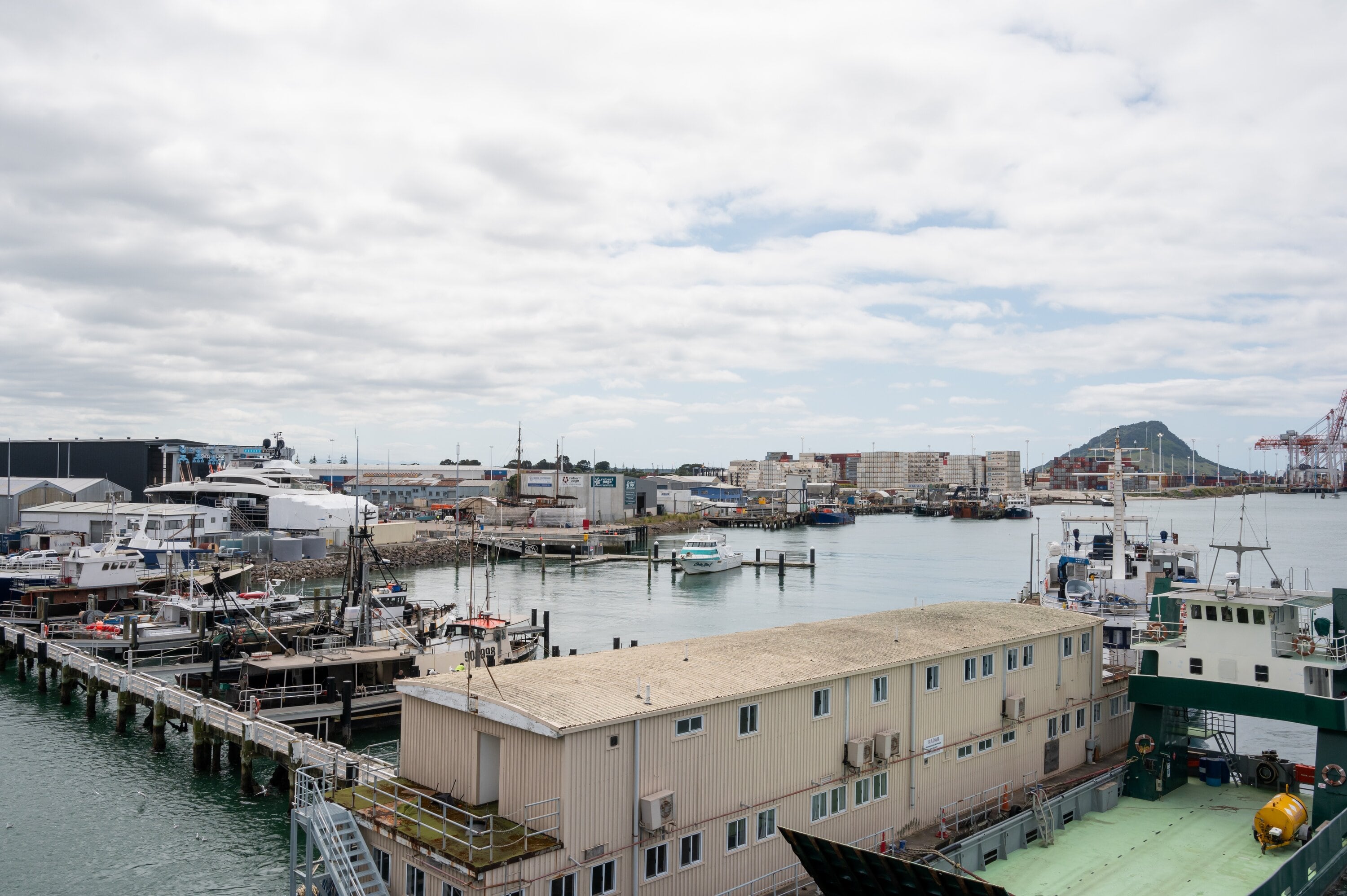 The Tauranga Marine Precinct at Sulphur Point has been sold to a developer. Photo / Brydie Thompson
