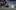 Cricket. Rose Bowl ODI series game 3, White Ferns v Australia at the Bay Oval. L-R Janet Huddleston, Sam Davies, Maddy Cooke and her dog Beau. Photo/George Novak