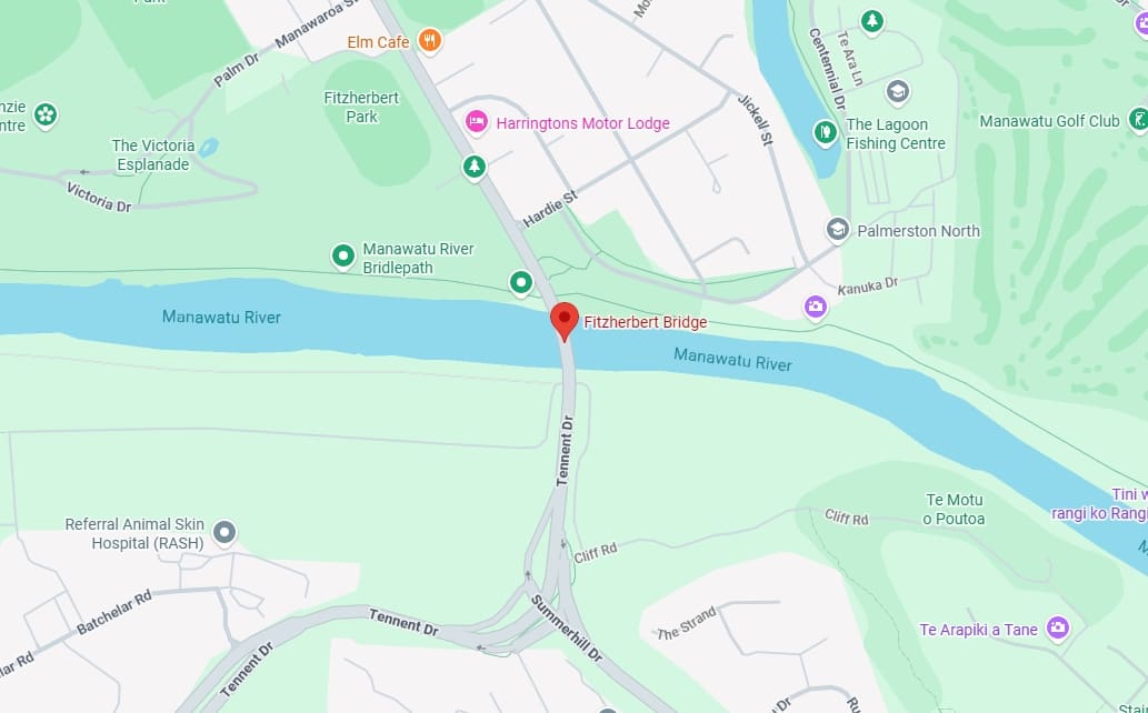 Cyclist dies weeks after crash with vehicle in Palmerston North