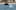 A dolphin at Opito Bay, Coromandel, over the Christmas period. Photo / Jessica Eade