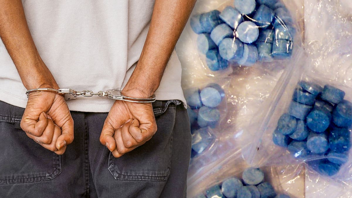 Drug case arrests after alleged burglary at Auckland narcotics disposal facility Drug case arrests after alleged burglary at Auckland narcotics disposal facility
