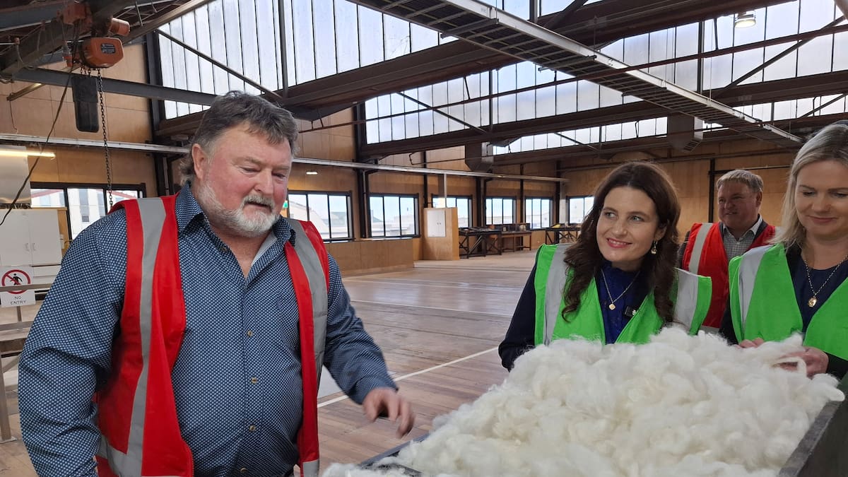 Finance Minister Nicola Willis on wool challenges during visit to NZ’s biggest scourer
