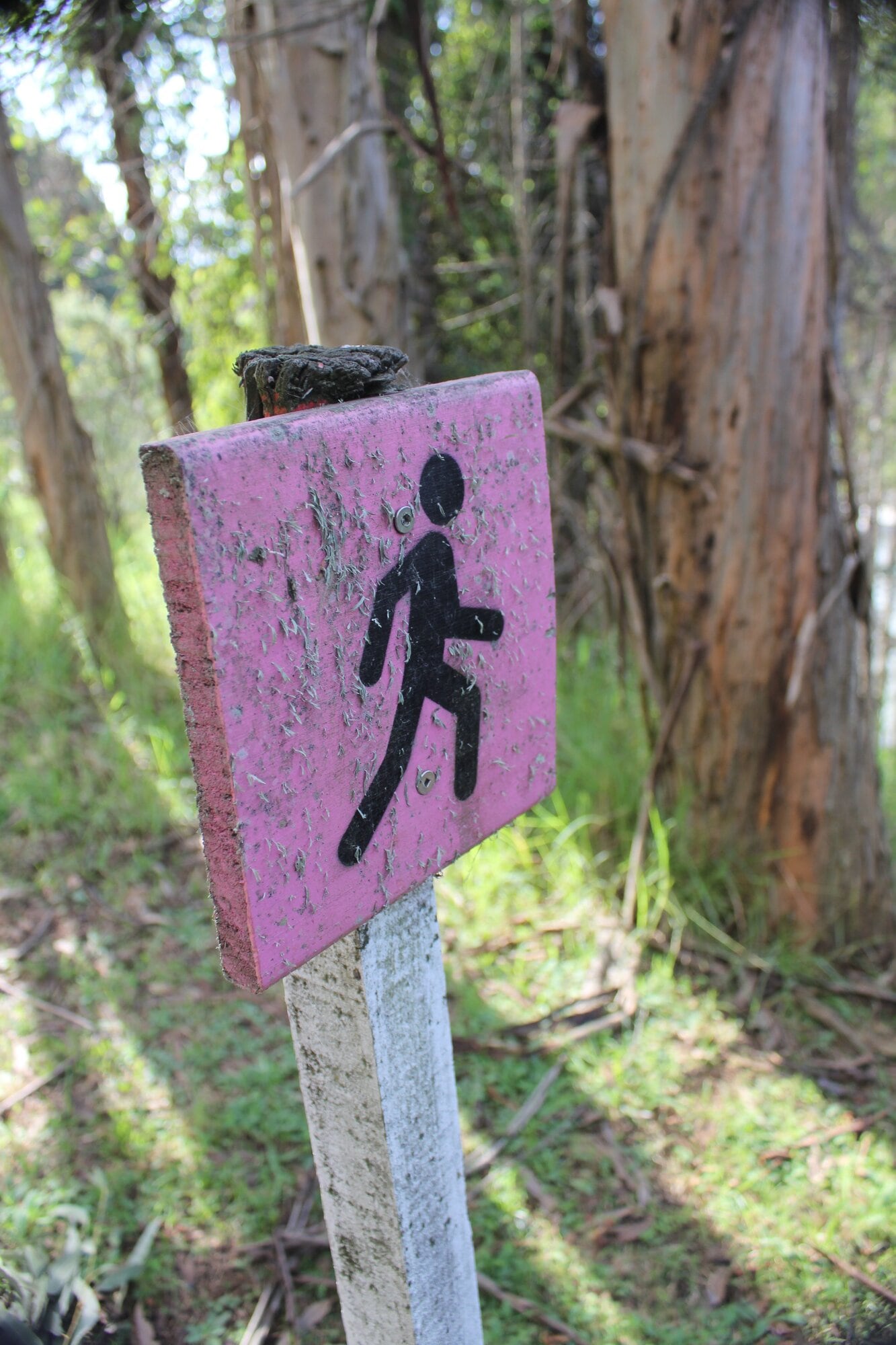  Signs mark the walking track at Trevelyan’s. Photo / Debbie Griffiths