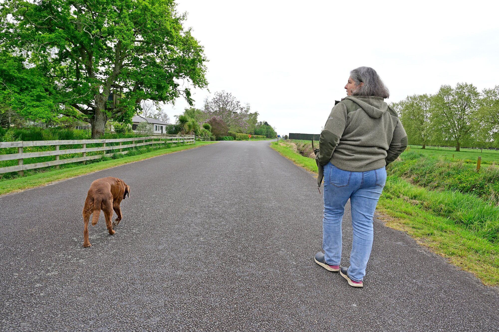 Putiki Road resident Joanna Spod will be sad to lose this 60-year-old oak tree, complete with treehouse, should Genesis Energy’s plans go ahead. Photo / Troy Baker