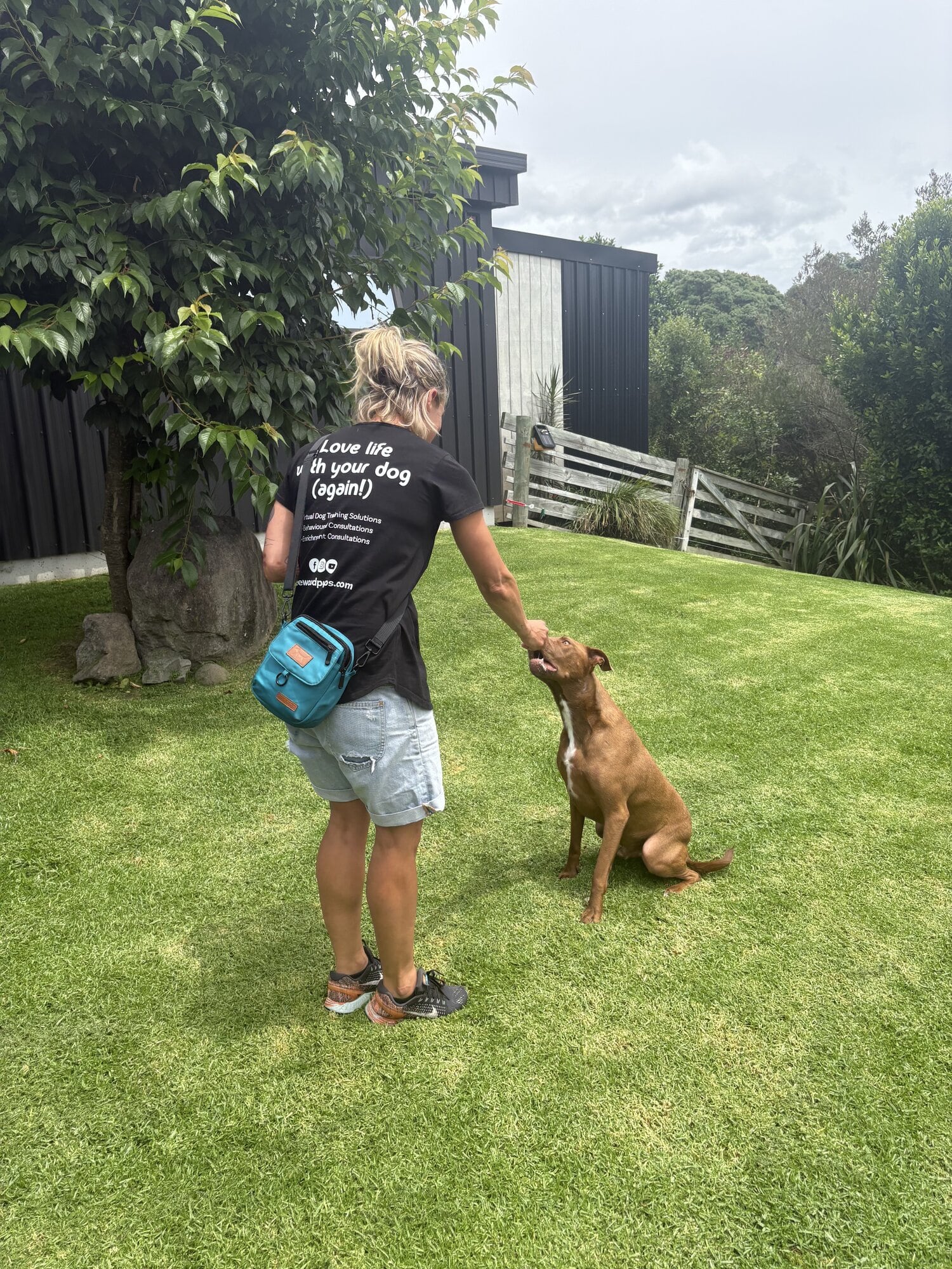Dog trainer Renee Mabey, owner of Neewood Pups, aims for her pilot programme on educating children about dog safety to be rolled out to other schools nationally. Photo / Supplied