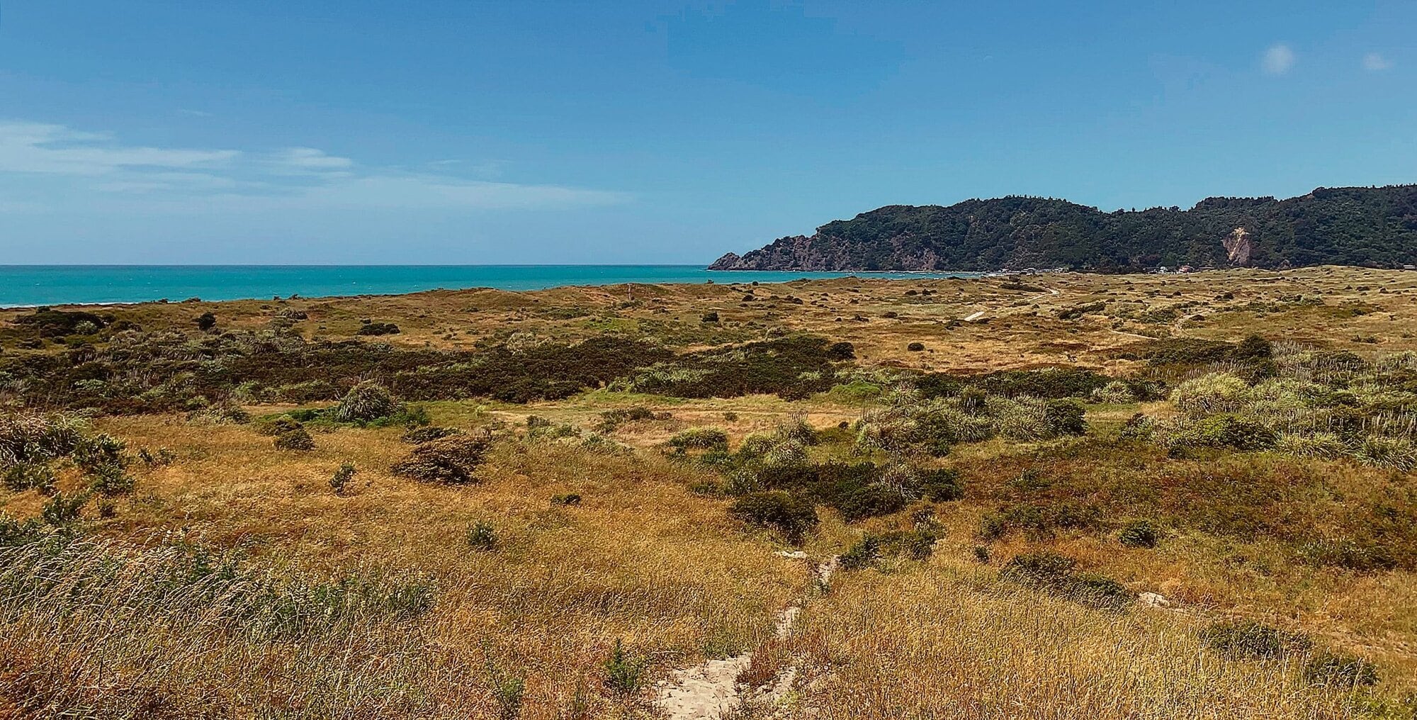  The Ōpihi Block at Piripai is considered by some to be the site of one of New Zealand's most ancient urupa. Photo / LDR