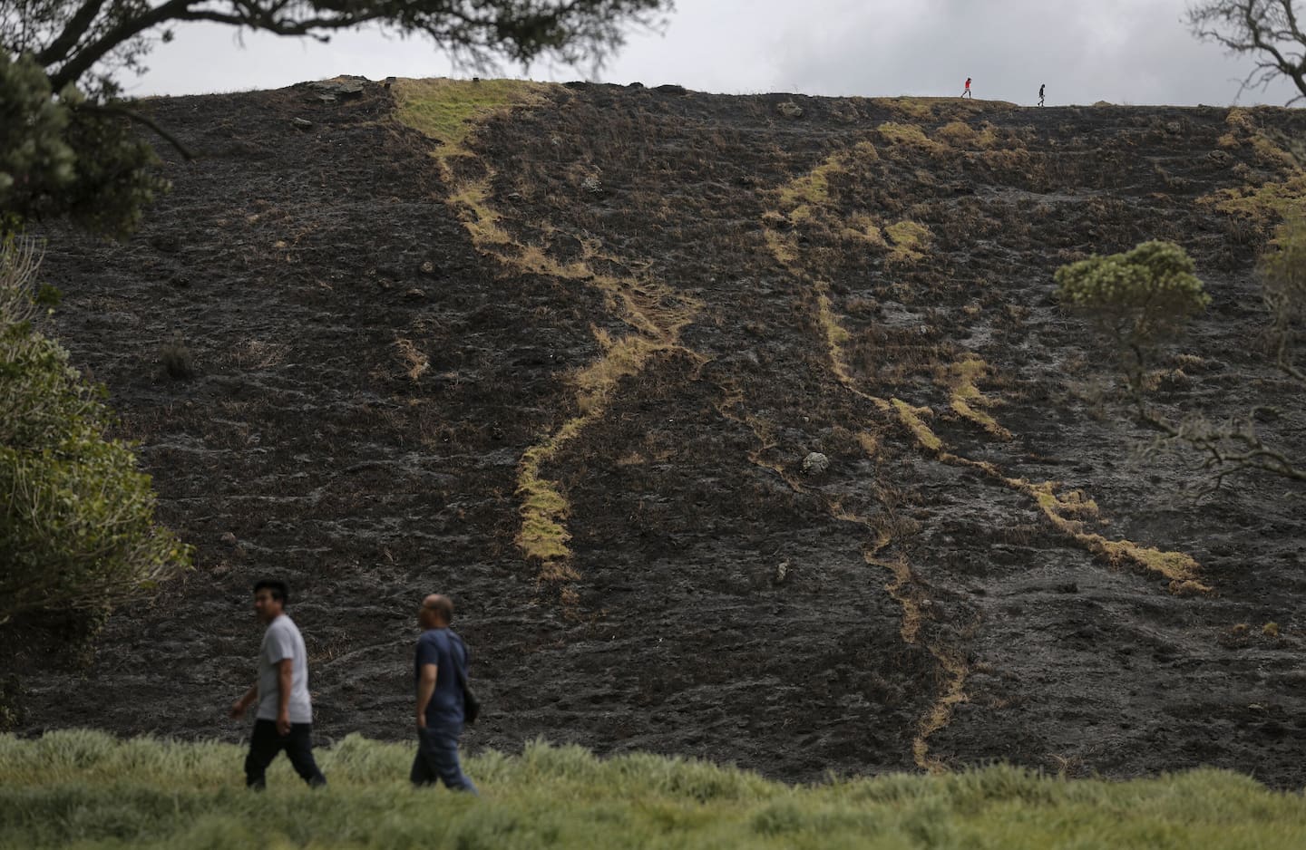 Walkers near and far on Māngere Mountain could see damage caused by the fire. Photo / Alex Burton