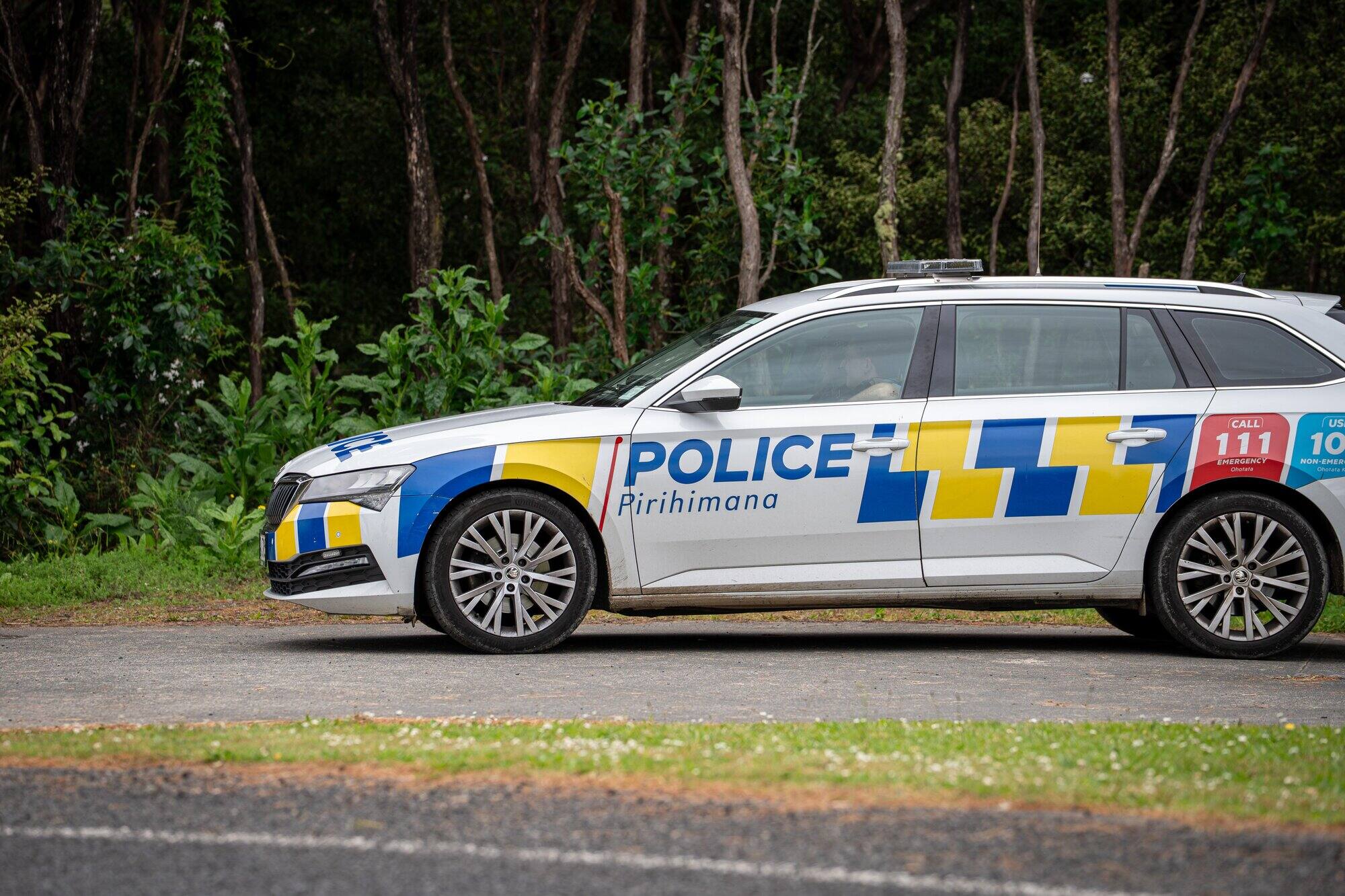 Pilot , passenger killed in Paekākāriki Hill helicopter crash were pest control contractors