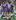 The <i>Rugby League Week</i> match officials poll found the Melbourne Storm showed referees and touch judges the least respect out of all the teams in the NRL. Photo / Getty Images