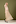 3. Photo / Greg Bowker