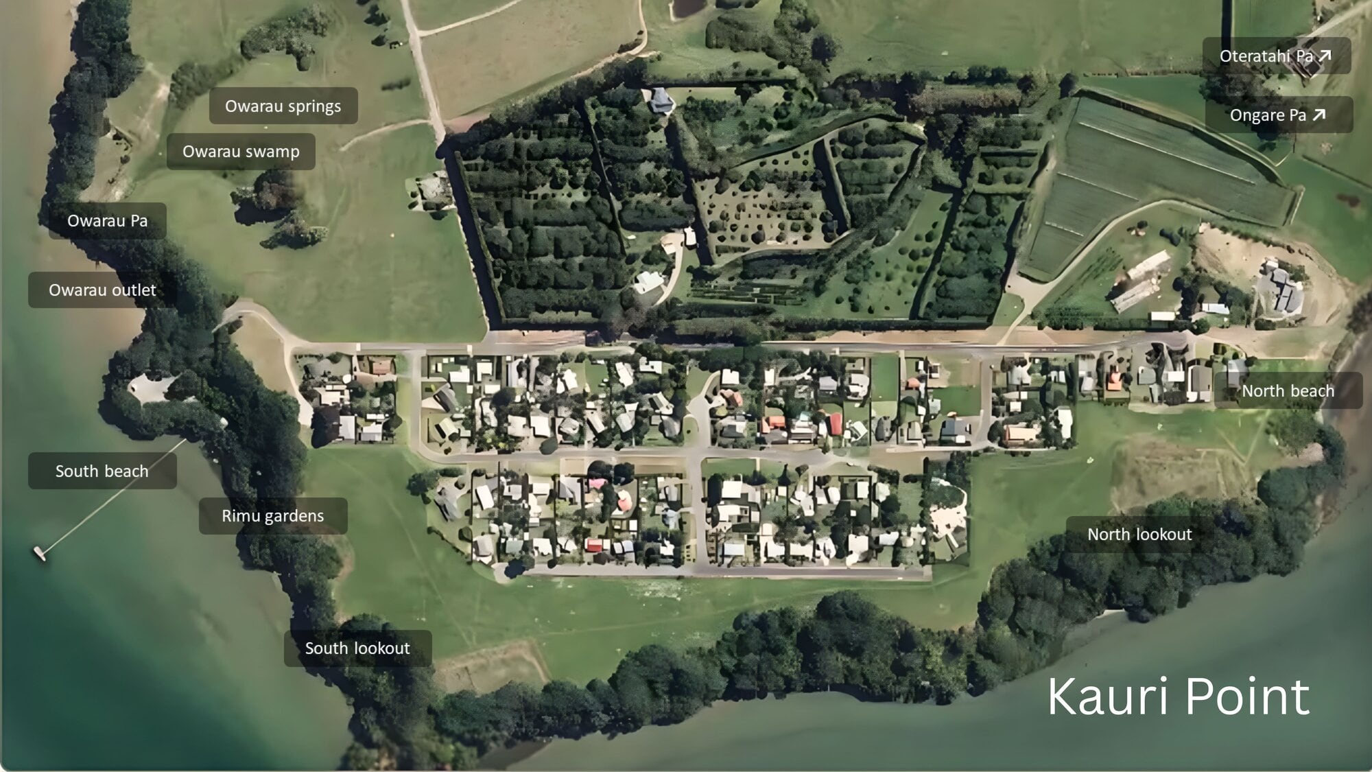  Kauri Point. Photo / Western Bay of Plenty District Council