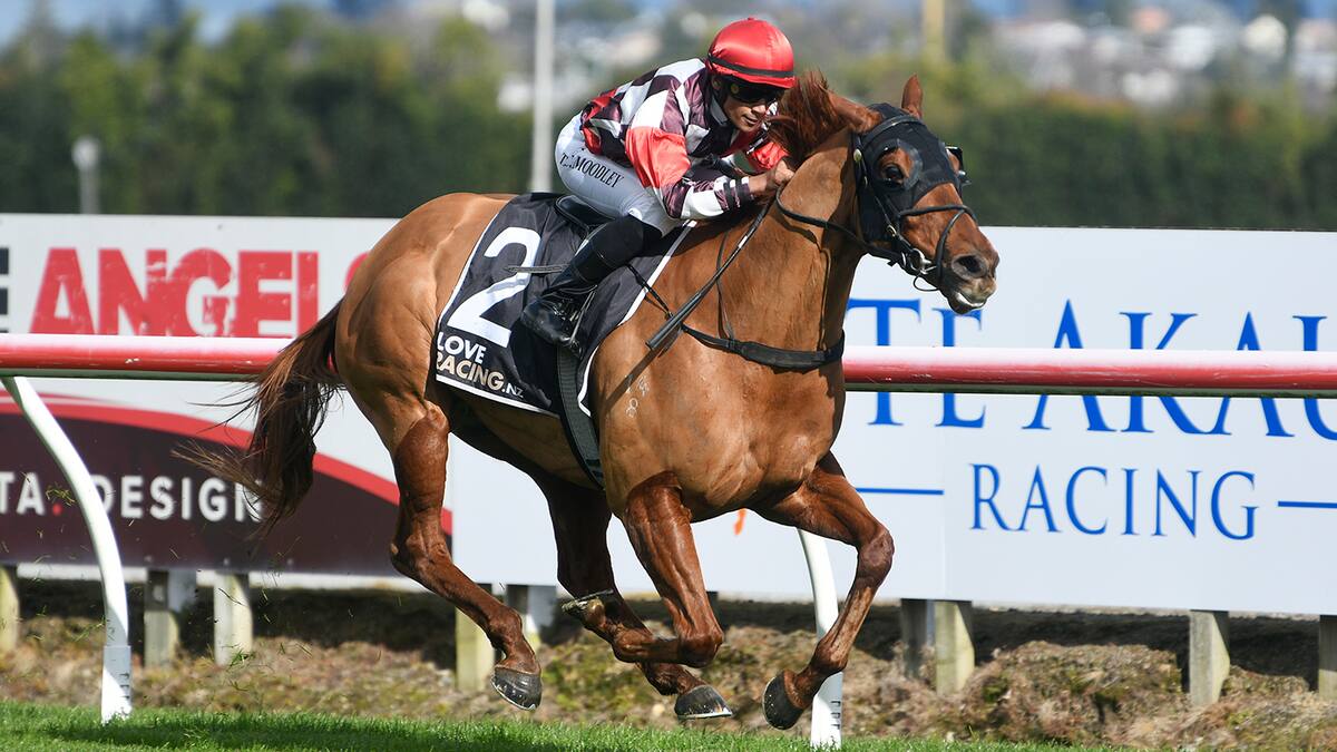 Horse racing: Poignant Te Rapa victory for Wewillrock - NZ Herald