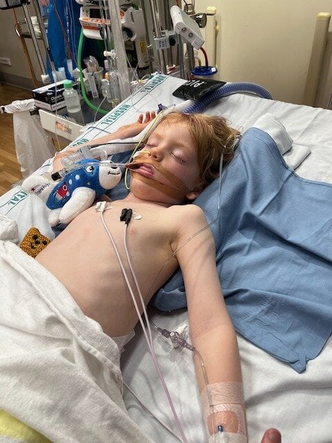 Maceo in hospital. Photo / Supplied