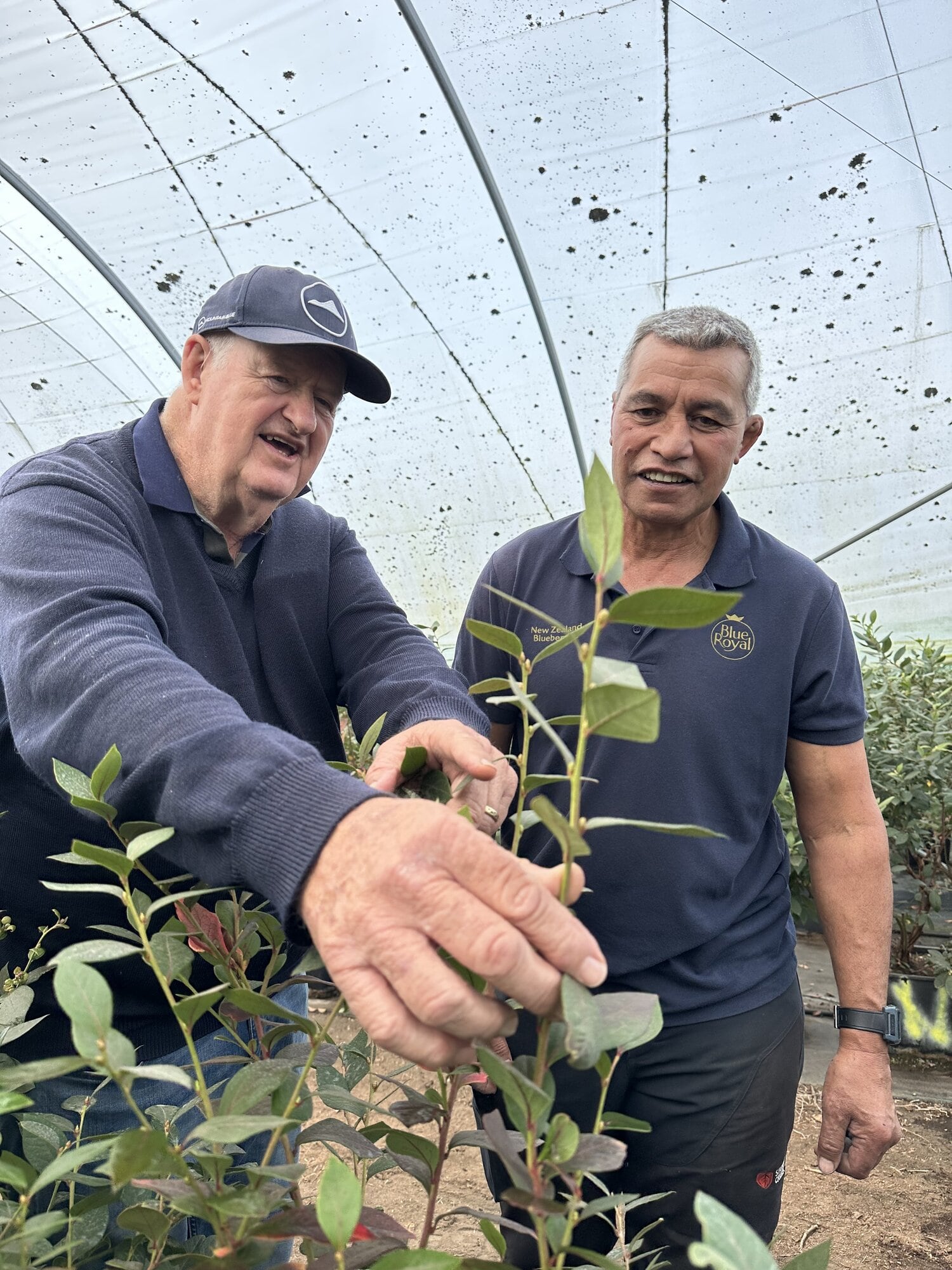  Des Samuels and Ridley Bell. Photo / Zoe Hunter