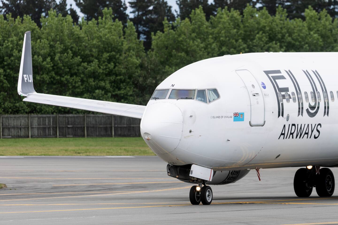 The aircraft's nosecone was damaged by the bird strike. Image / George Heard