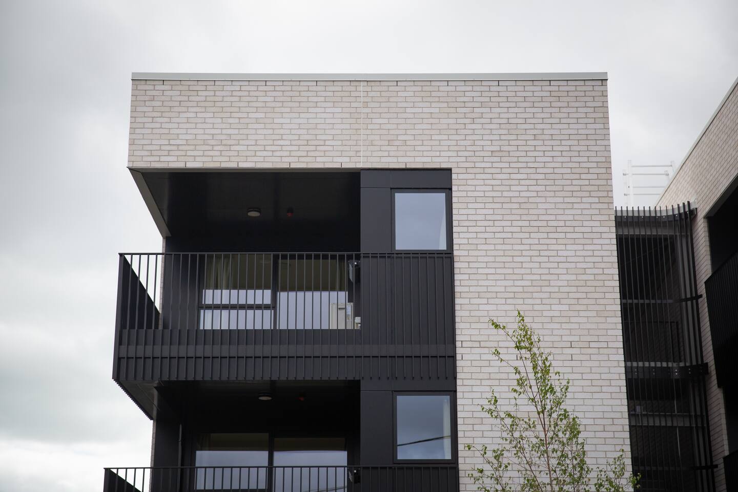 Tenants are expected to move into the Meadowbank apartments within weeks. Photo / Sylvie Whinray