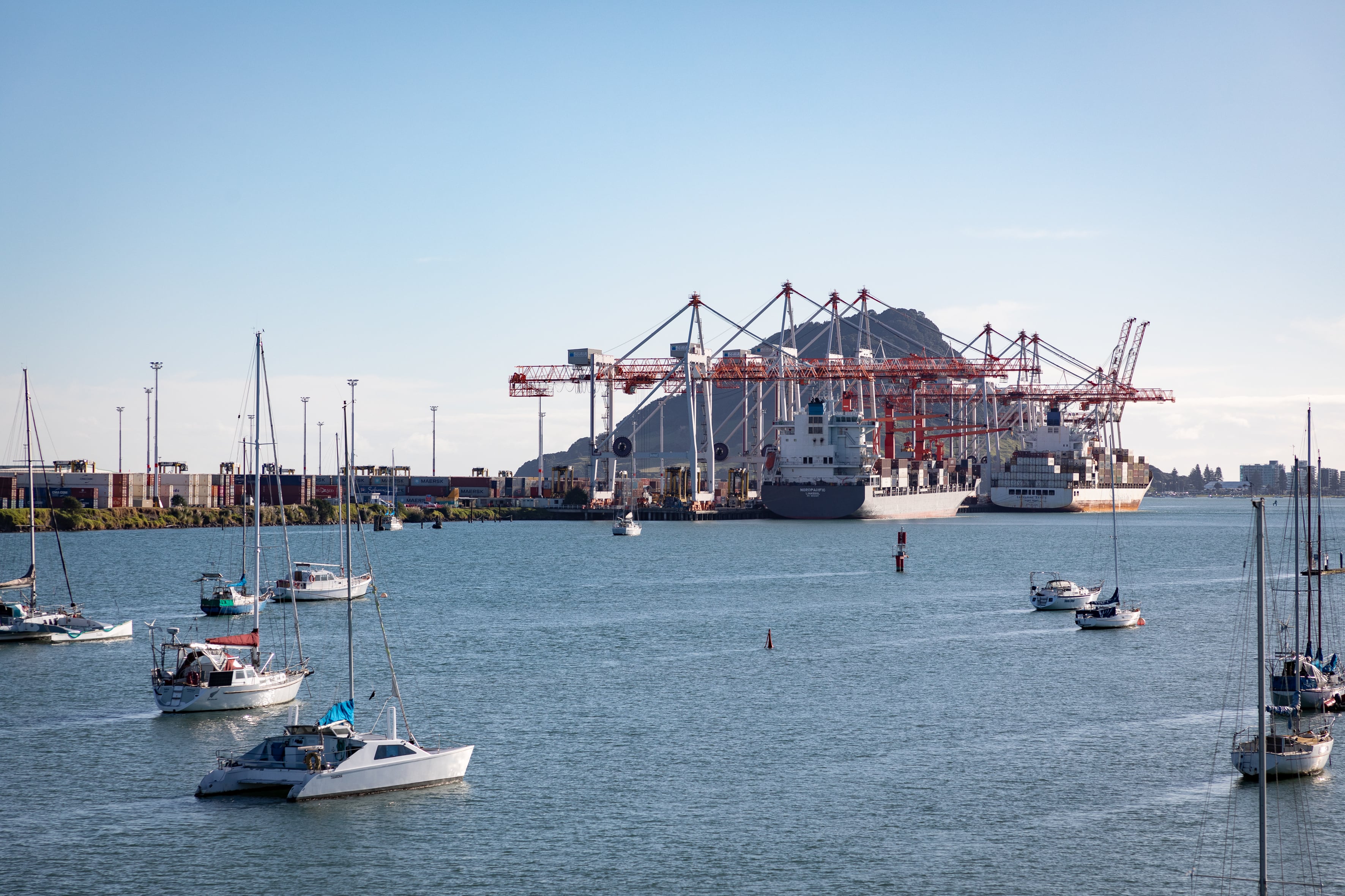 Quayside had a 54.14% Port of Tauranga shareholding valued at $2.5 billion as of June 30 last year, according to the council consultation document. Photo / Alex Cairns