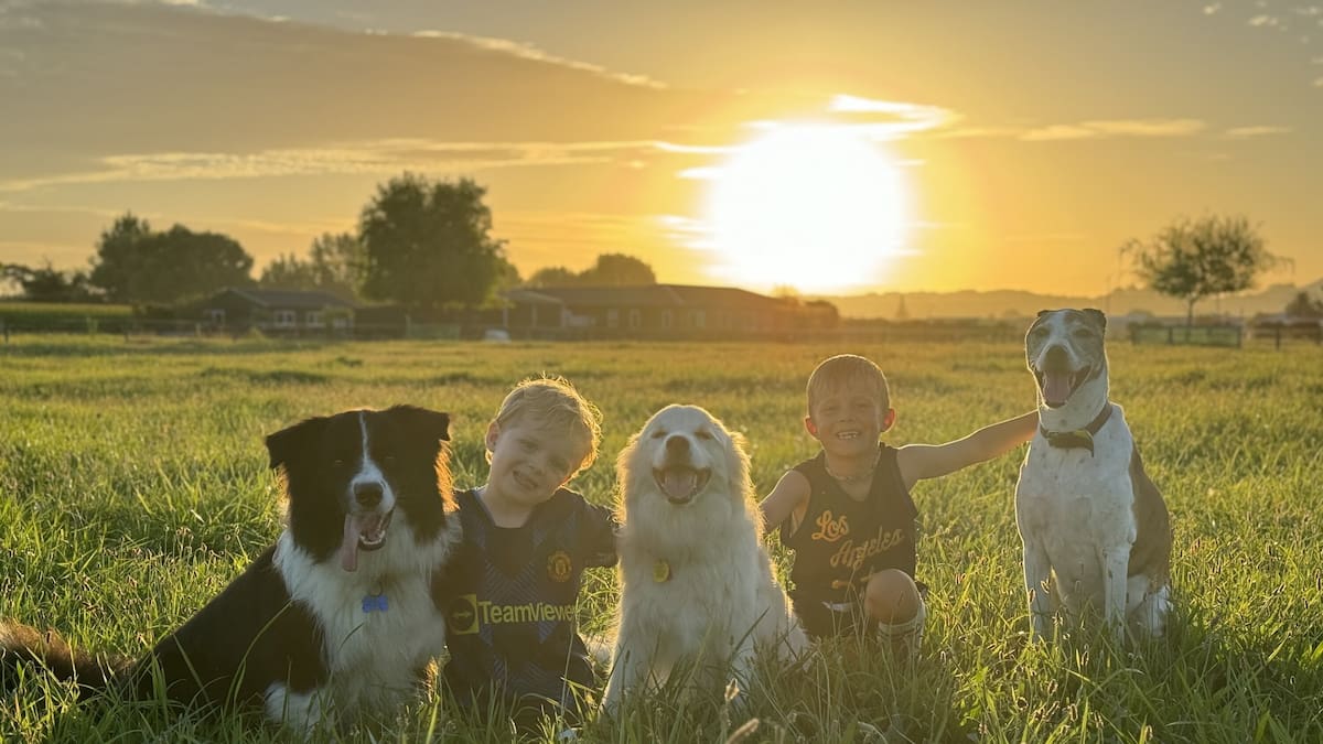 The best of summer: Hawke’s Bay photo competition finalists announced The best of summer: Hawke’s Bay photo competition finalists announced