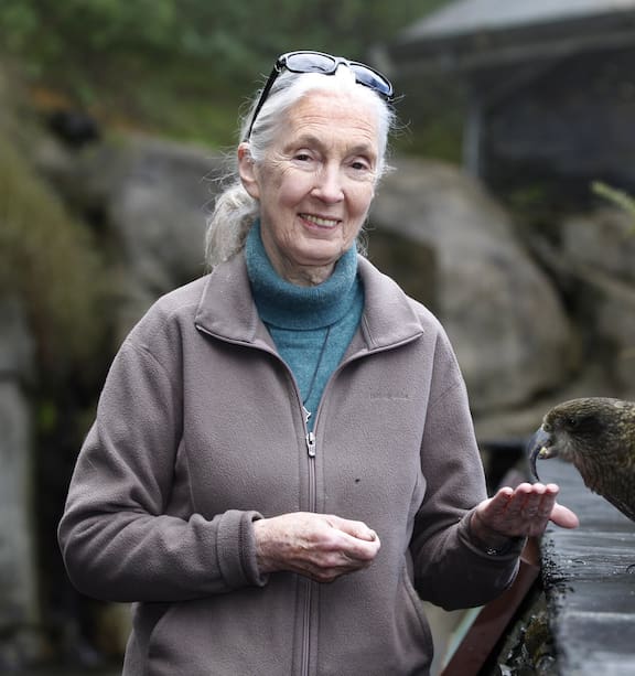 Jane Goodall's final wish was to send Trump, Musk, Putin, Xi and Netanyahu  to space - NZ Herald