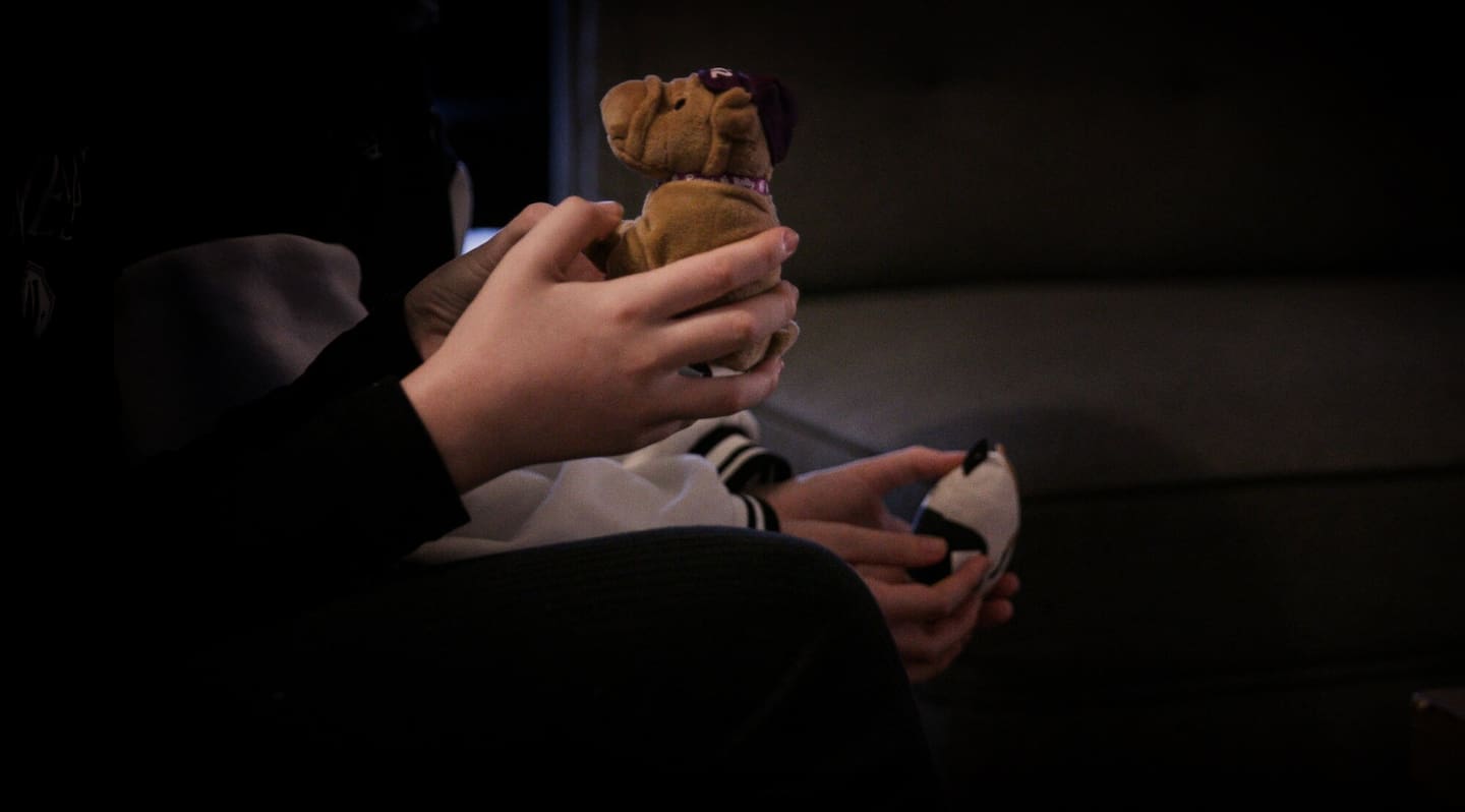 Amy and Ivy told the Herald they were upset, angry and disgusted when they learned the "friend" they'd been sharing videos and images with was a 36-year-old Wellington man.