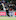 New Zealand's Ross Taylor batting. Photo / Photosport.co.nz