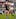 Lote Raikabula of New Zealand (L) gets away from Pradeep Mahesh Liyanage of Sri Lanka  during their match on day one of the Hong Kong Sevens. Photo / Getty Images