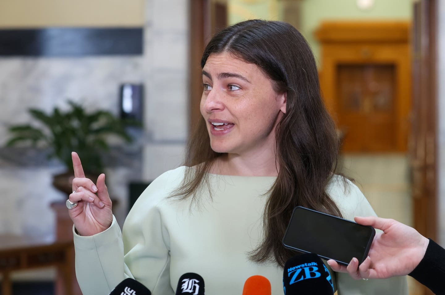 Greens co-leader Chlöe Swarbrick supports a wealth tax, as does Te Pāti Māori. Photo / Mark Mitchell