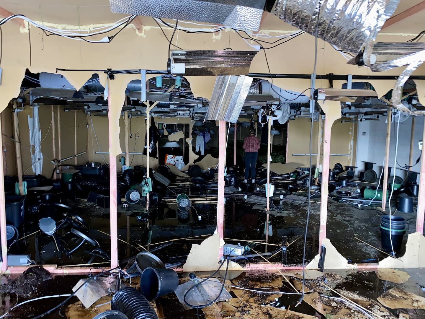 What remains of the grow operation in a commercial building in Hastings. Photo / Jack Riddell