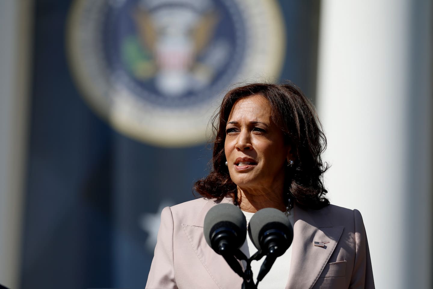 Kamala Harris kicks off her campaign by promising to prosecute a forceful case against Donald Trump. Photo / Getty Images