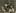 Whakaahua Maori: Images of Tangata Whenua 1860–1910 at Webb's. Photo / Attributed to Thomas Pringle untitled c1900s gelatin silver print (145 x 195mm).