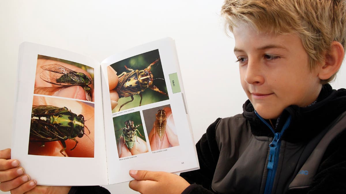 Young bug expert presents at national insect conference - NZ Herald
