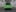 Back of the green Ford Focus RS. Photo / Supplied
