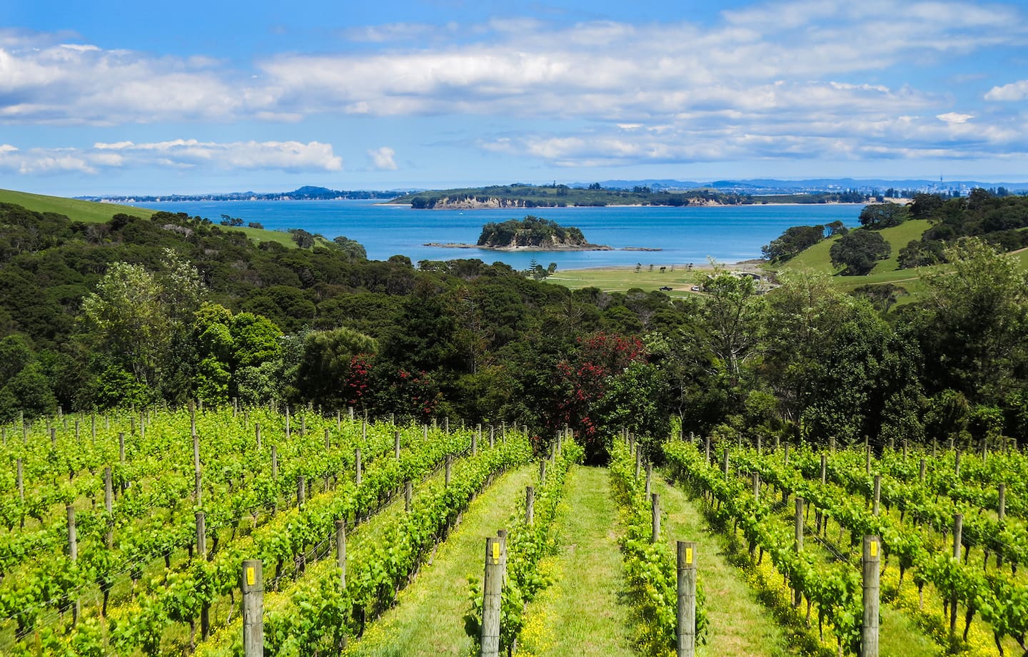 Cable Bay Winery is located in Ōneroa on Waiheke Island.
