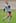 Rudi Wulf passes the ball during the All Blacks training session in Dunedin. Photo / Getty Images