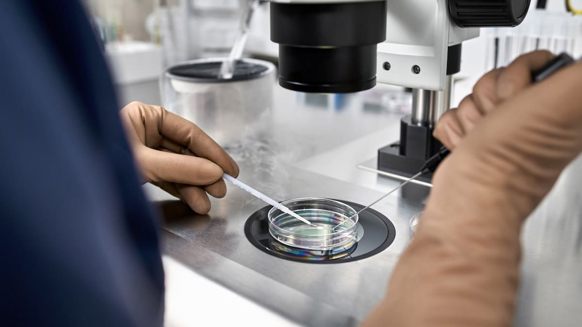 A key to ageing could be in a long-overlooked body part A key to ageing could be in a long-overlooked body part