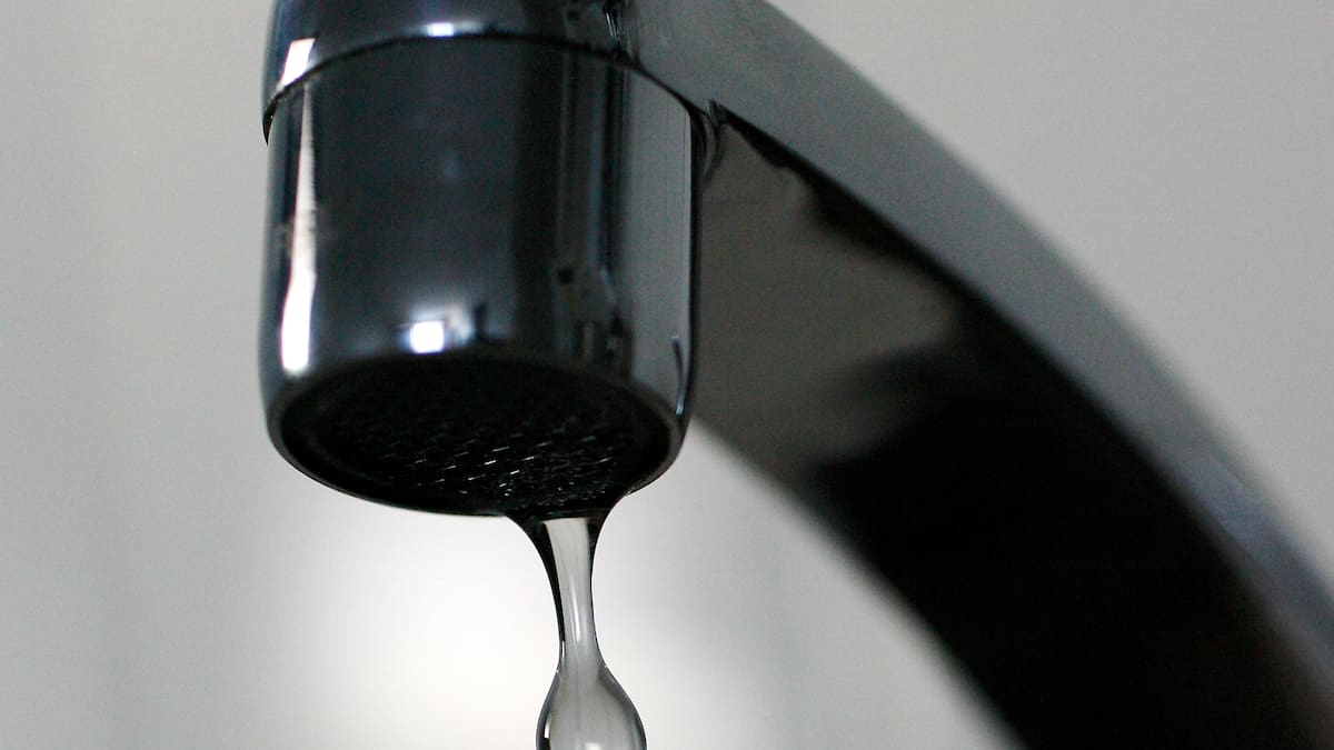 Fluoride Advice Wrong Experts Nz Herald Fluoride Advice Wrong Experts Nz Herald
