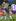 Lance Hohaia of the Warriors is tackled by Kevin Proctor and Adam Blair of the Storm. Photo / Getty Images