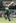 New Zealand's Martin Guptill plays a shot during the Group D Twenty20 World Cup match against South Africa at Lord's. Photo / AP