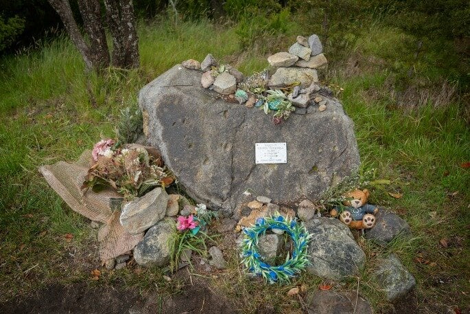 Monica Cantwell's memorial has two pōhutukawa trees and mamuka nearby. Photo / John Borren