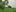 Photo / Bay of Plenty Times