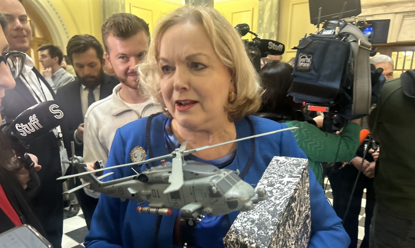 Minister for the Public Service Judith Collins. Photo / Adam Pearse