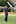 White raises his bat on his way to making 118 in Thursday's 50-over game at Karori Park in Wellington. Photo / Photosport