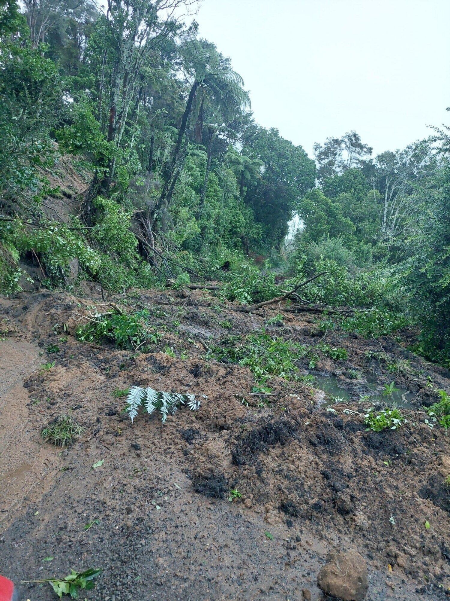 A slip blocks Herepuru Rd in Matatā, Eastern Bay of Plenty.
