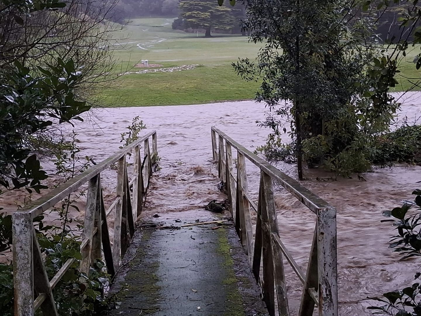 Floodwaters at the Judgeford Golf Club. Photo / Judgeford Golf Club