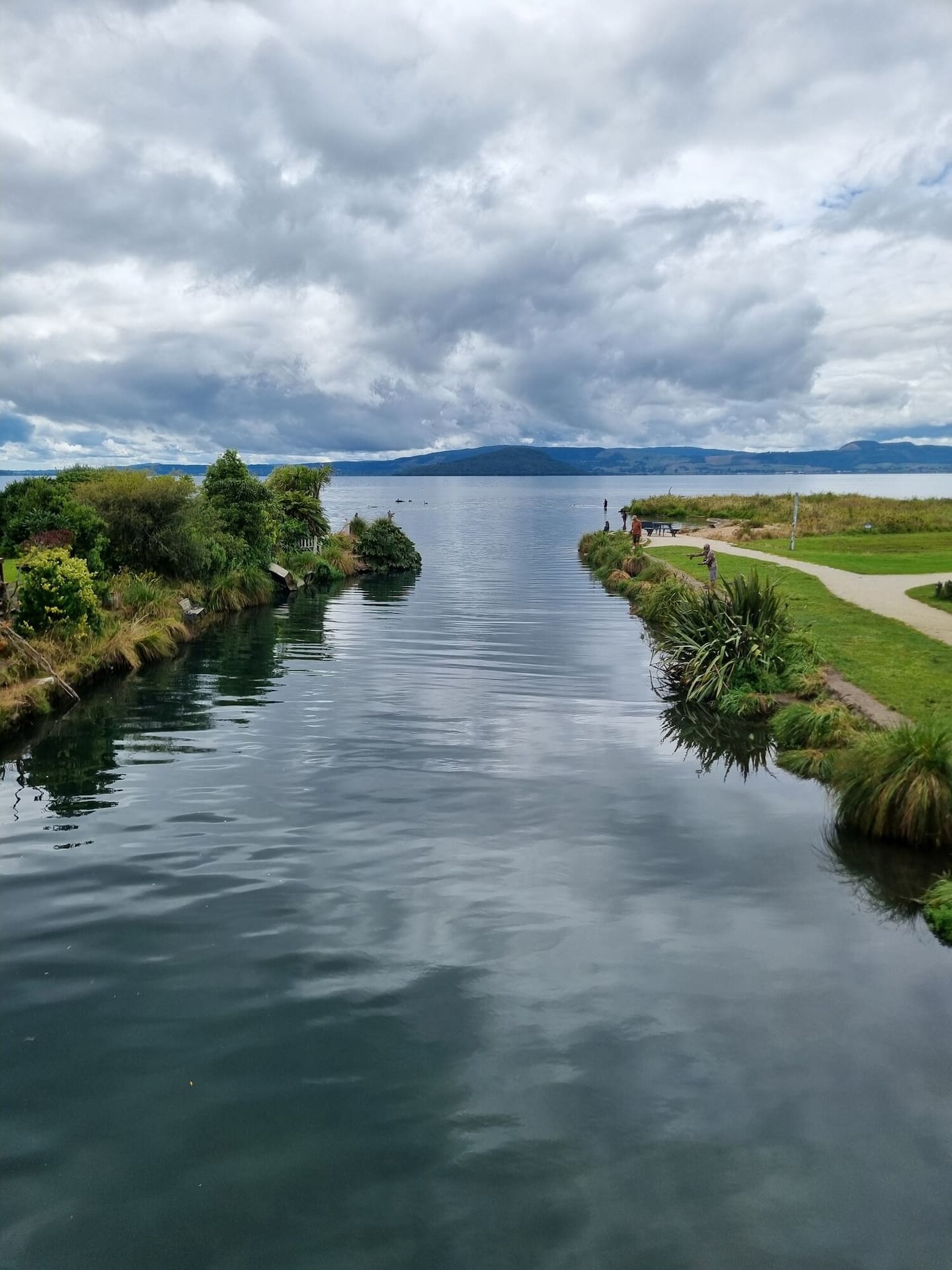 Eastern Region Fish & Game rangers were carrying out angler compliance checks at the Waiteti Stream when the incident happened. Photo / Eastern Region Fish & Game