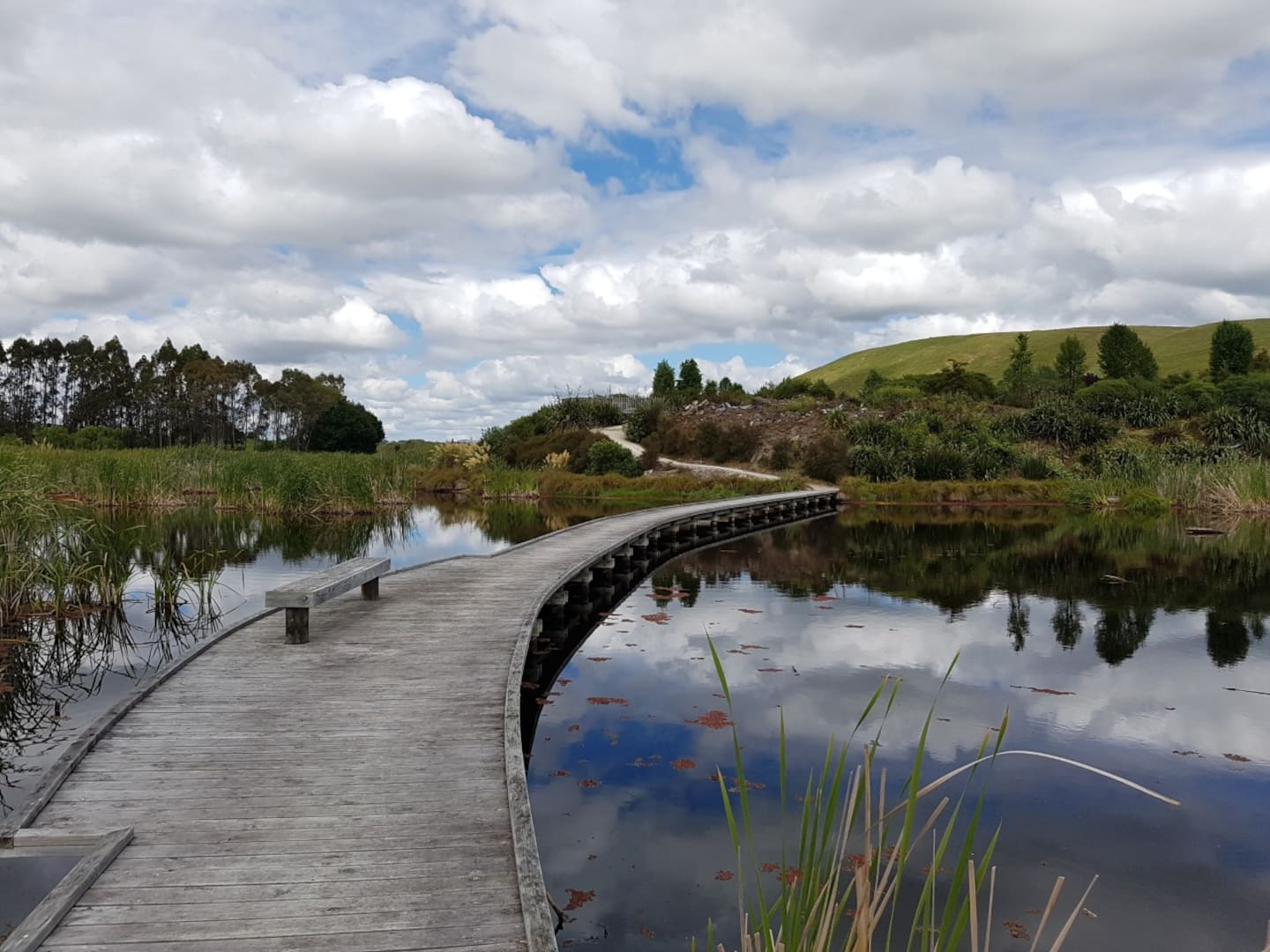 What does National mean when it says it will ‘repeal Three Waters ...